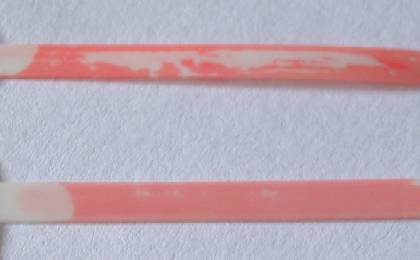 Congo-Red stained hydrogel coating before and after wear testing